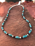 Genuine Campitos Turquoise with black onyx and sterling silver beads in a 22” length.  SR120